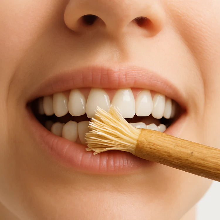 The Miswak Toothbrush