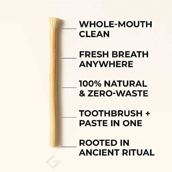The Miswak Toothbrush