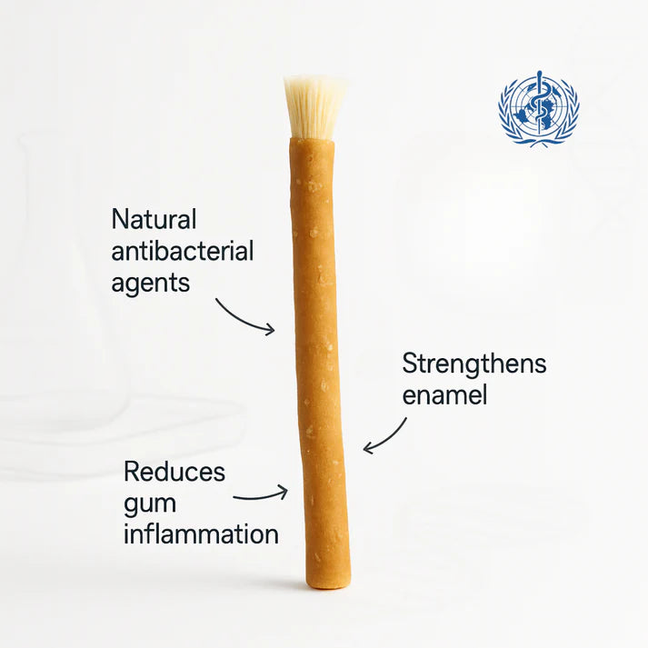 The Miswak Toothbrush